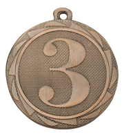 Kaltas medalis [BS.ME103.03] 3 vieta (bronza)