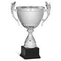 Vidutinė taurė [96178-A-SC] (sidabrinė)