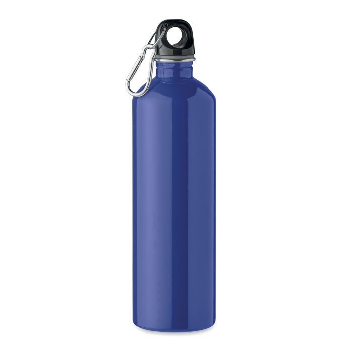 Ūdens pudele REBIG MOSS 750ml [MO2404-04] (zila)