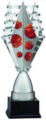 Ekskluzīvs Kauss [6247/2-BAS] basketbols (sudraba)