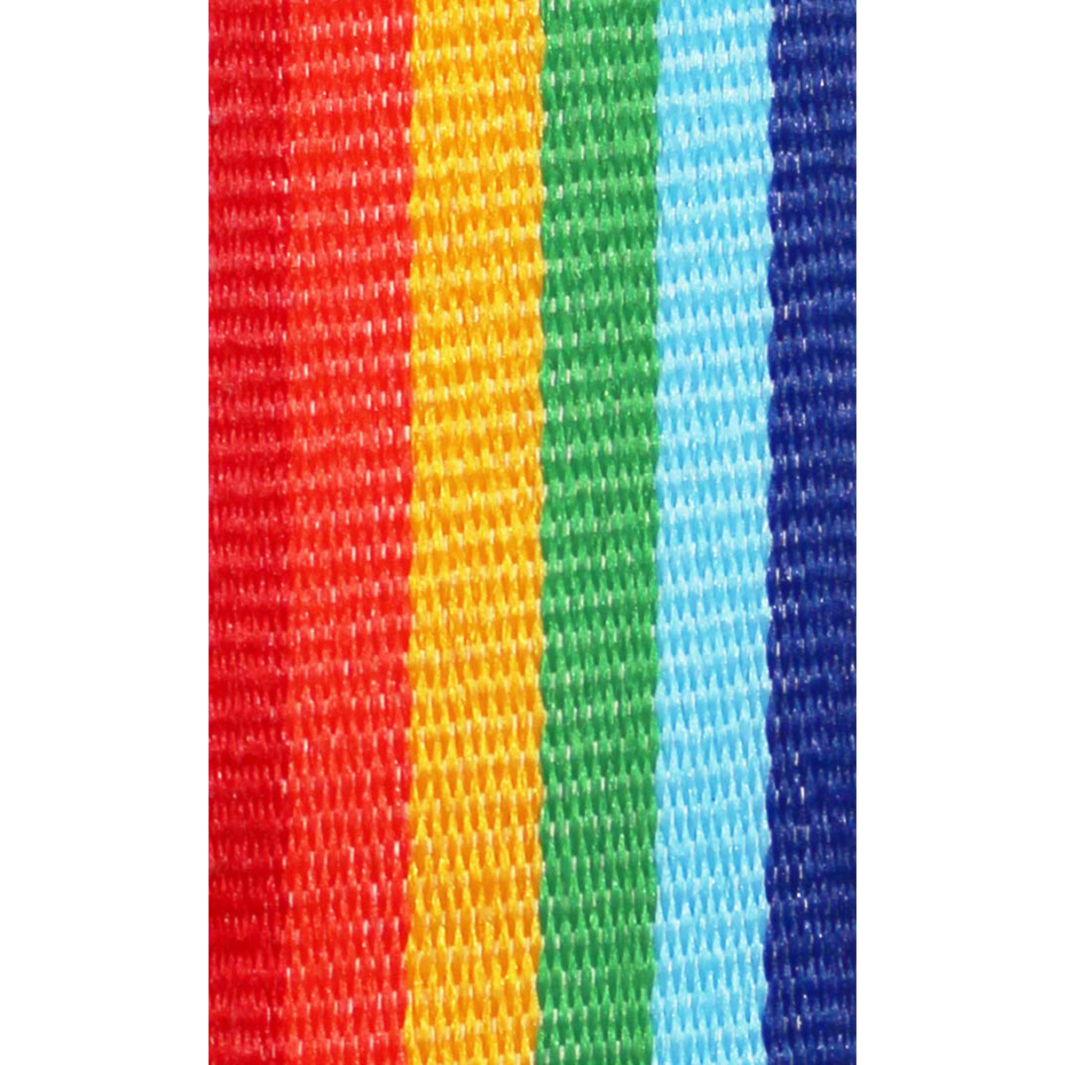 Broad Ribbon [V2-RAIN2] (rainbow) 22 mm