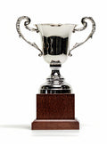 Exclusive Trophy [949/10] (silver)