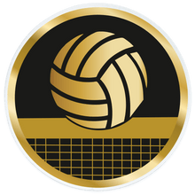 Acrylic Centre 70mm [AC023.01] volleyball (gold)