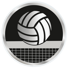 Acrylic Centre 70mm [AC023.02] volleyball (silver)