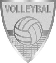 Centre shield 40x45mm [AFS035.02] volleyball (silver)