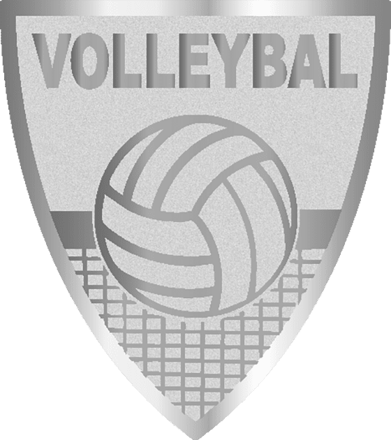 Centre shield 40x45mm [AFS035.02] volleyball (silver)