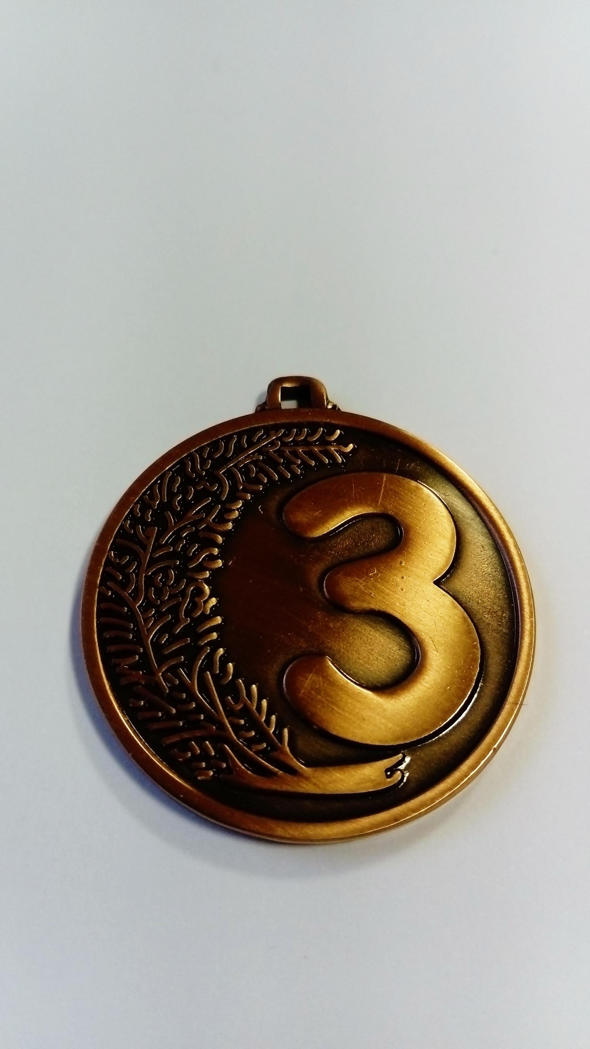 Small medal [2010VB] 3rd place (bronze)