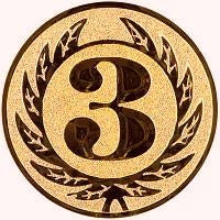 25 mm Centering [A1-107-BA] 3rd place (bronze)