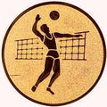 25 mm Centrs [A1-19-BA]  volejbols (bronza)