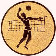 25 mm Centrs [A1-19-BA]  volejbols (bronza)