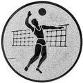 25 mm Centrs [A1-19-ZG]  volejbols (sudraba)