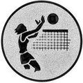 25 mm Centre [A1-20-ZG] women's volleyball (silver)