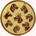 50 mm Centrs [A2-68-BA] dog (bronze)