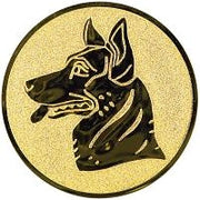 25 mm Keskus [A1-69-GG] koer (kuldne)