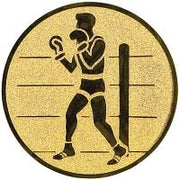 50 mm Centras [A2-79-GG] dėžutė (auksinė)