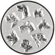 25 mm centras [A11-51-ZG] šuo (sidabrinis)