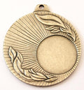 Keskmine medal [F15-ZG] (hõbedane)