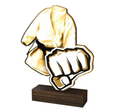 Figure Wood [WF115-A] karate (gold)