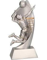 Mastic Figure [TR-RP2005] volleyball (silver)